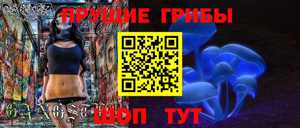 Псилоцибиновые грибы Psilocybine cubensis Феодосия