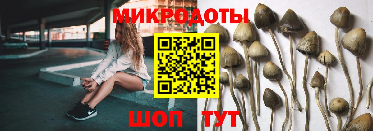 Феодосия  Галлюциногенные грибы Psilocybine cubensis  Вход с VPN  что такое наркотик  Галлюциногенные грибы мухоморы 